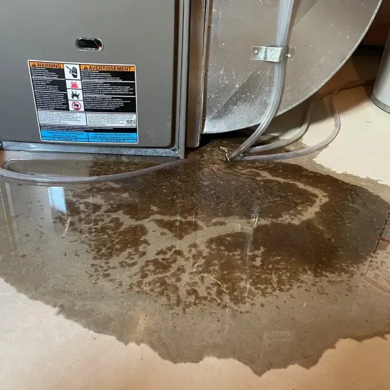 Appliance Leak Cleanup in Minorca, LA